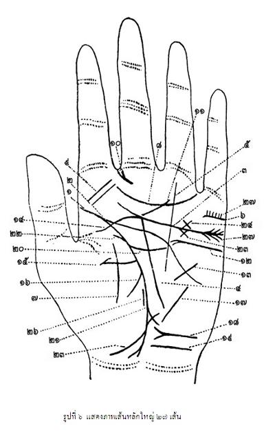 ตำราลายมือ"ว่าด้วย.. มือและเส้นลายมือ(เบื้องต้น) 